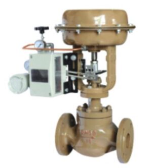 Small diameter single seat control valve