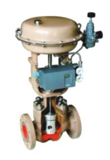 DSC Sleeve Single Seat Control Valve