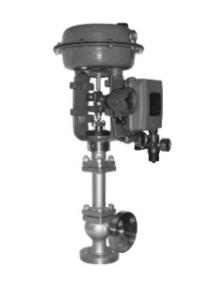 Cage Type Angle Valve