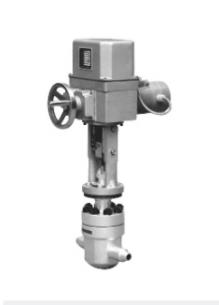 Steam hydrophobic control valve