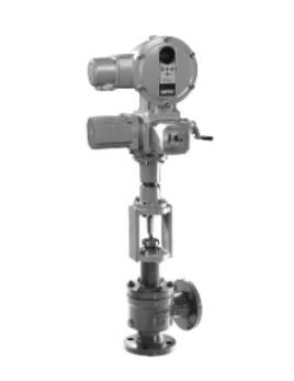 DTO high plus desperate steam trap control valve