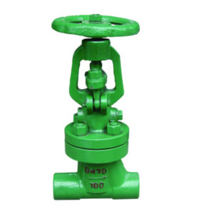DKJ61 vacuum isolation globe valve