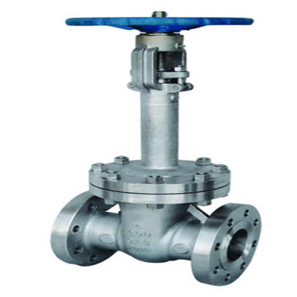 DZ40Y Cryogenic Gate Valve