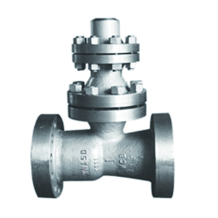 Valve function type 11 H48H W空排止回阀