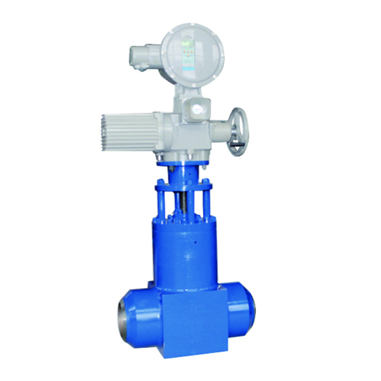 Other valves 8 Z961Y 250I P91锻件电站闸阀