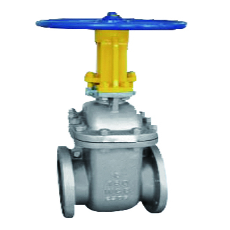 Gate valves 7 平行式双闸板闸阀4
