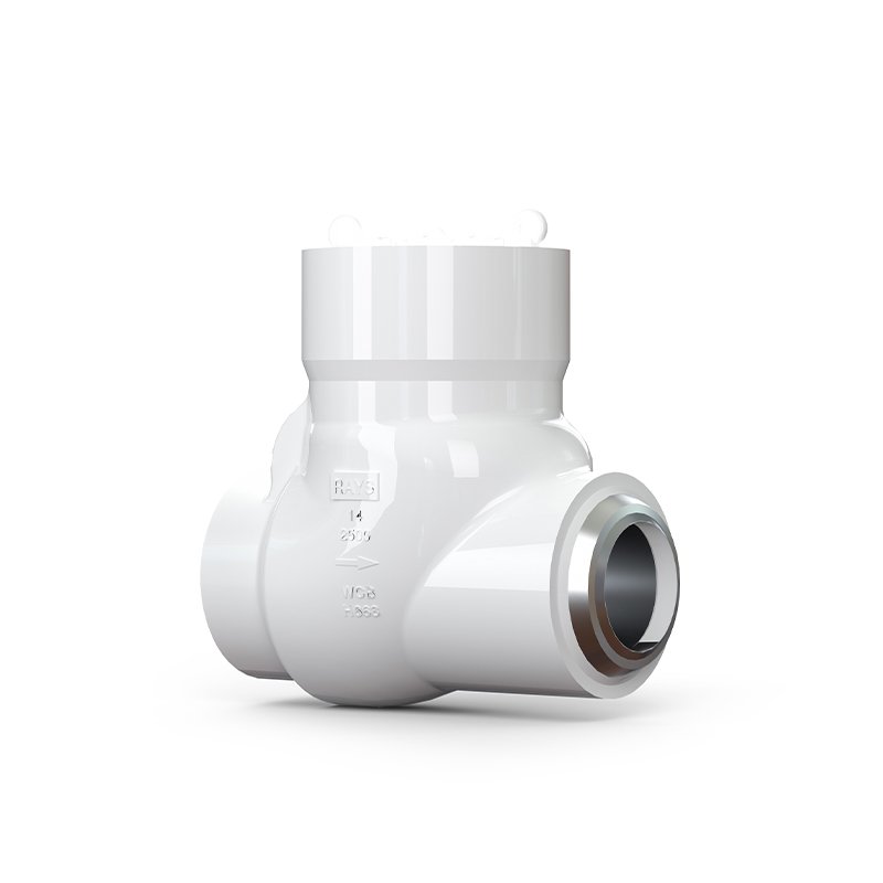 CHECK VALVES category