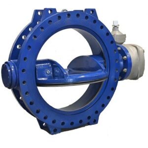 Double Offset Butterfly Valve