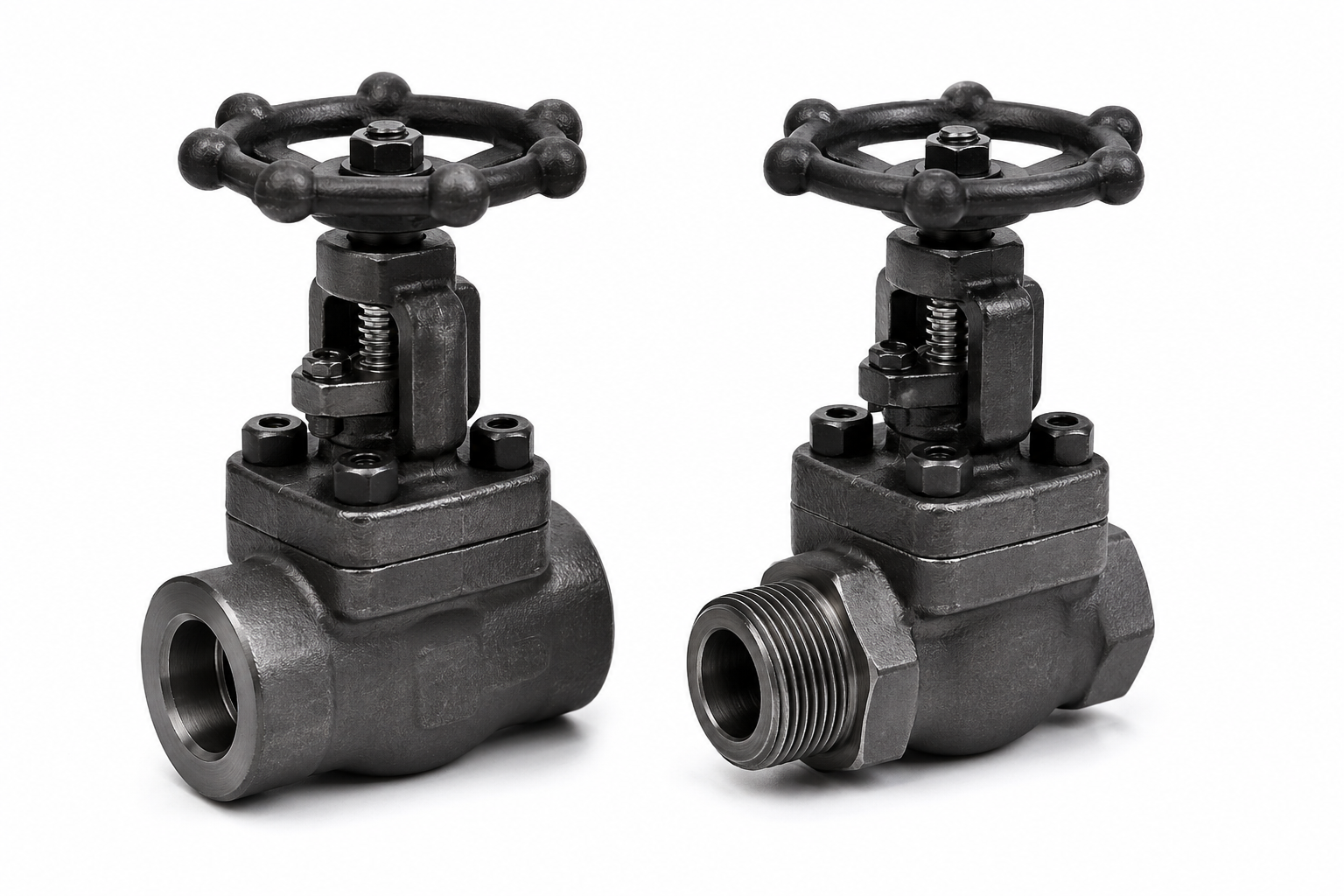 Socket weld and threaded globe valves for small bore piping systems